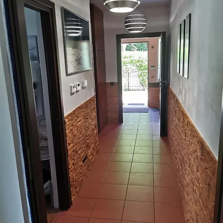 Róża Wiatrów *